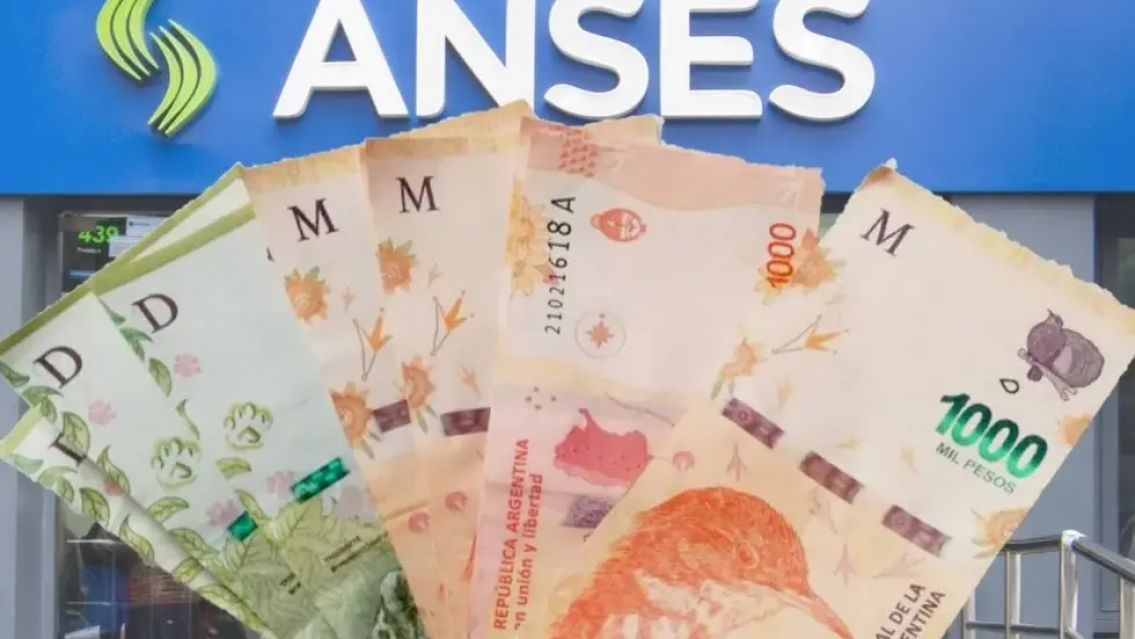 BONO de $81000 cómo cobrarlo ya quiénes corresponde