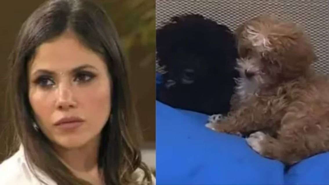 Romina Uhrig mostr� a Caramelo y un detalle de su aspecto caus� preocupaci�n : "Descuidado"