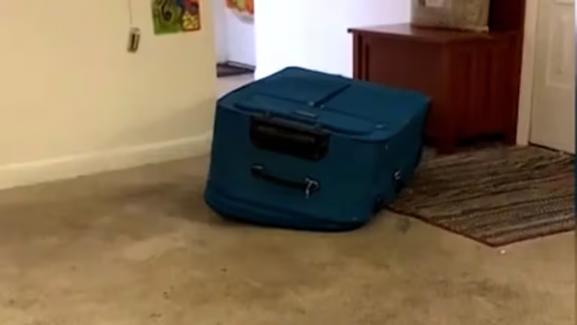 El "juego" de la valija, as� asesin� a su pareja: esto siento cuando me enga��s