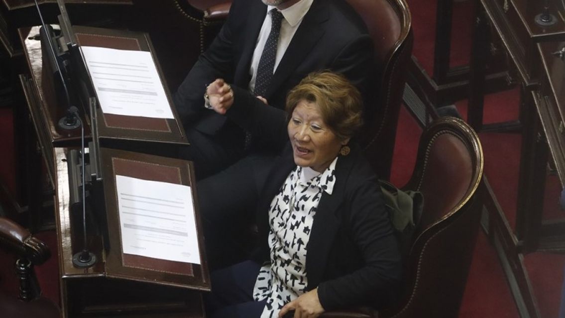 Escándalo nacional: La jujeña Vilma Bedia habría metido a seis familiares al Senado