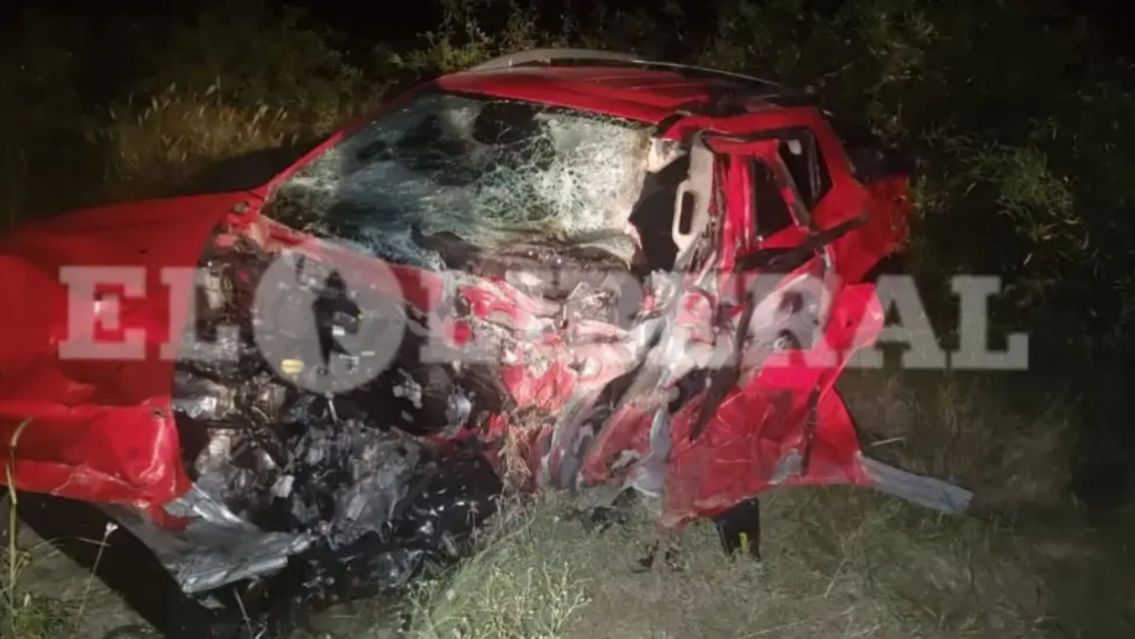 Tragedia en ruta 9: se les cruz� un animal suelto y terminaron sin vida