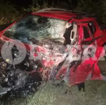 Tragedia en ruta 9: se les cruz&oacute; un animal suelto y terminaron sin vida