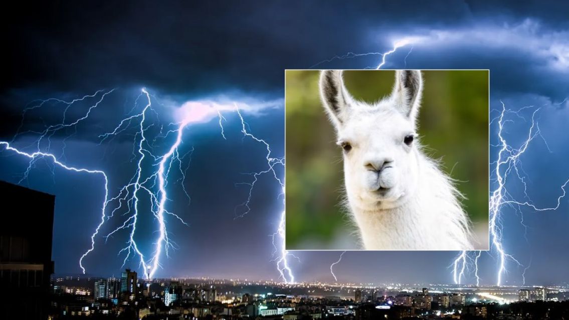 Tormenta el�ctrica mat� a 10 llamas y da�� una producci�n agr�cola