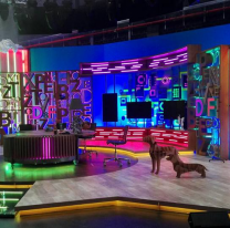 Sex symbol norte&ntilde;o se enganch&oacute; a la actriz m&aacute;s linda y querida. "Est&aacute;n saliendo"