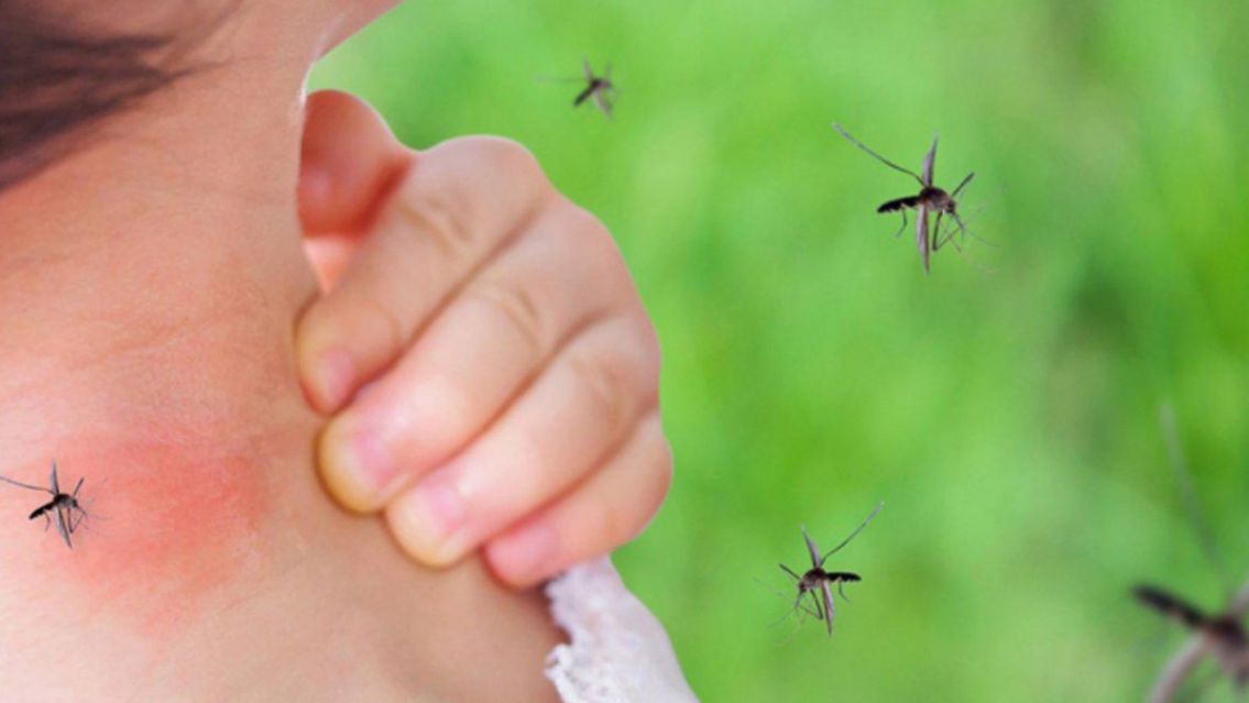 Especialistas advierten que el dengue superará el millón de casos en unos días