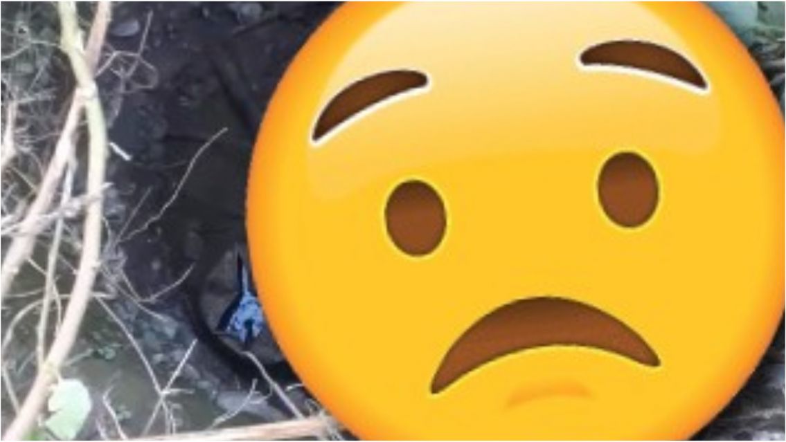 Escucharon ruidos de un pozo y cuando fueron a ver se largaron a llorar
