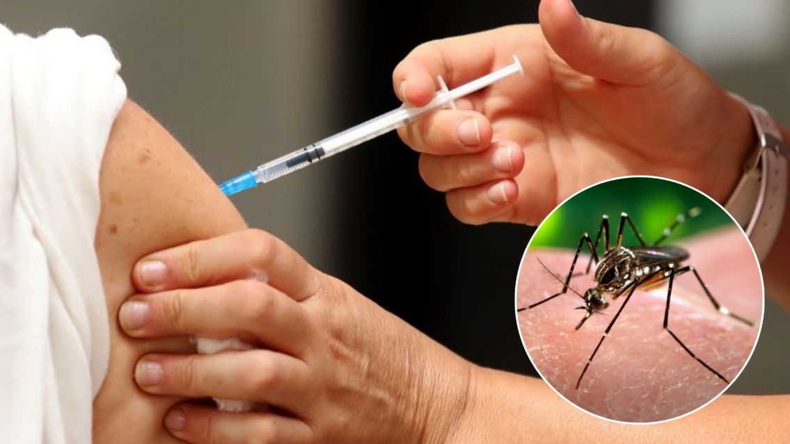 ¿Dónde conseguir la vacuna contra el Dengue?