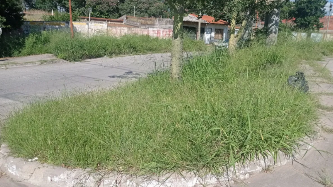 "Palpalá está muy abandonado": vecinos insisten obras urgentes en la ciudad