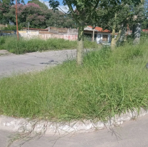 "Palpalá está muy abandonado": vecinos insisten obras urgentes en la ciudad