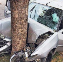 Machado clav&oacute; su auto contra un un &aacute;rbol en pleno centro de Jujuy