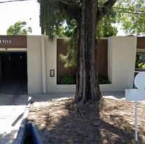 Entraron al telo y se pusieron a chorear las paltas del estacionamiento: "Valen una fortuna" 