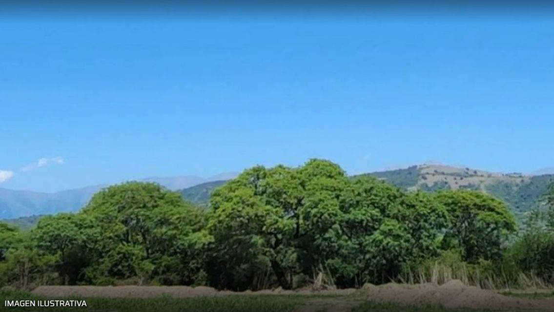 [URGENTE] Encontraron a un hombre sin vida en una finca