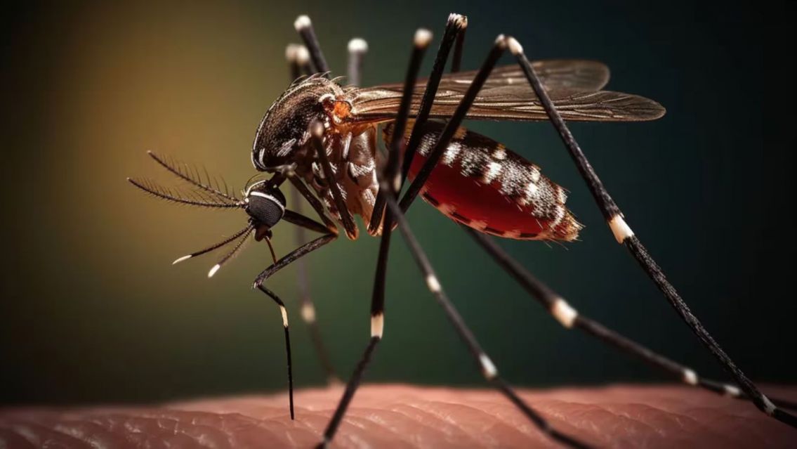 Si tienes síntomas de dengue, ¡no hagas esto!