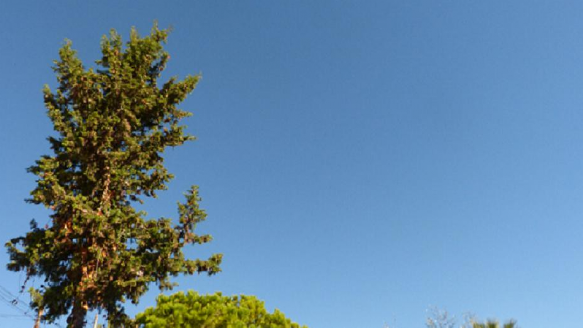 Domingo de Pascuas con mucho calor en Jujuy: A la tarde capaz que se larga la lluvia