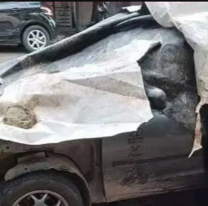 "Vamos a Perico", le dijeron y apareció muerto de la peor forma