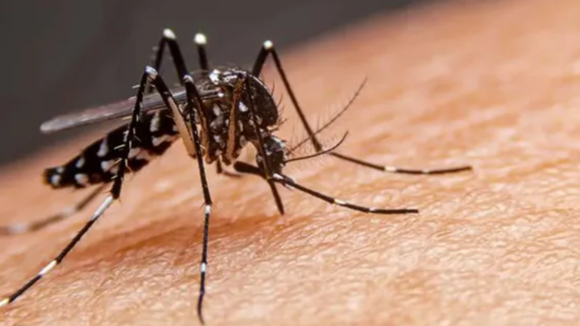 Alerta en Jujuy: Murió un abuelo y ahora investigan si tenía dengue
