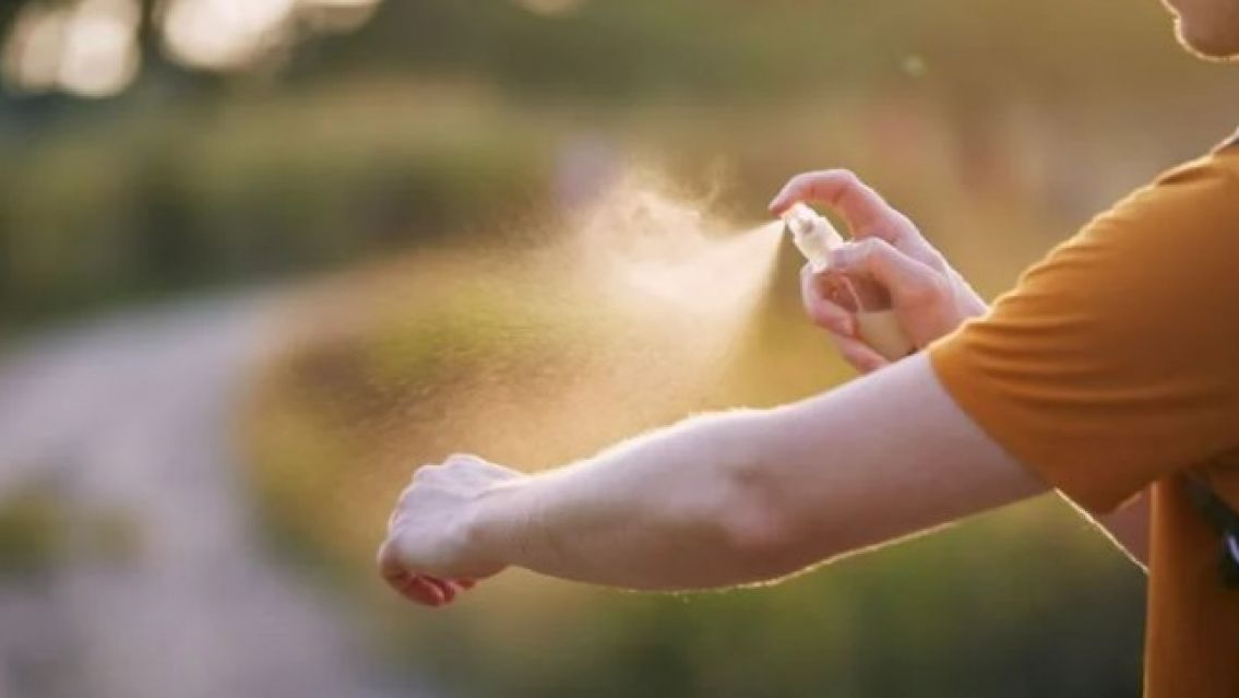 Dengue: la tajante decisi�n que tom� el Gobierno ante la falta de repelente