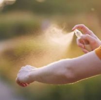 Dengue: la tajante decisión que tomó el Gobierno ante la falta de repelente