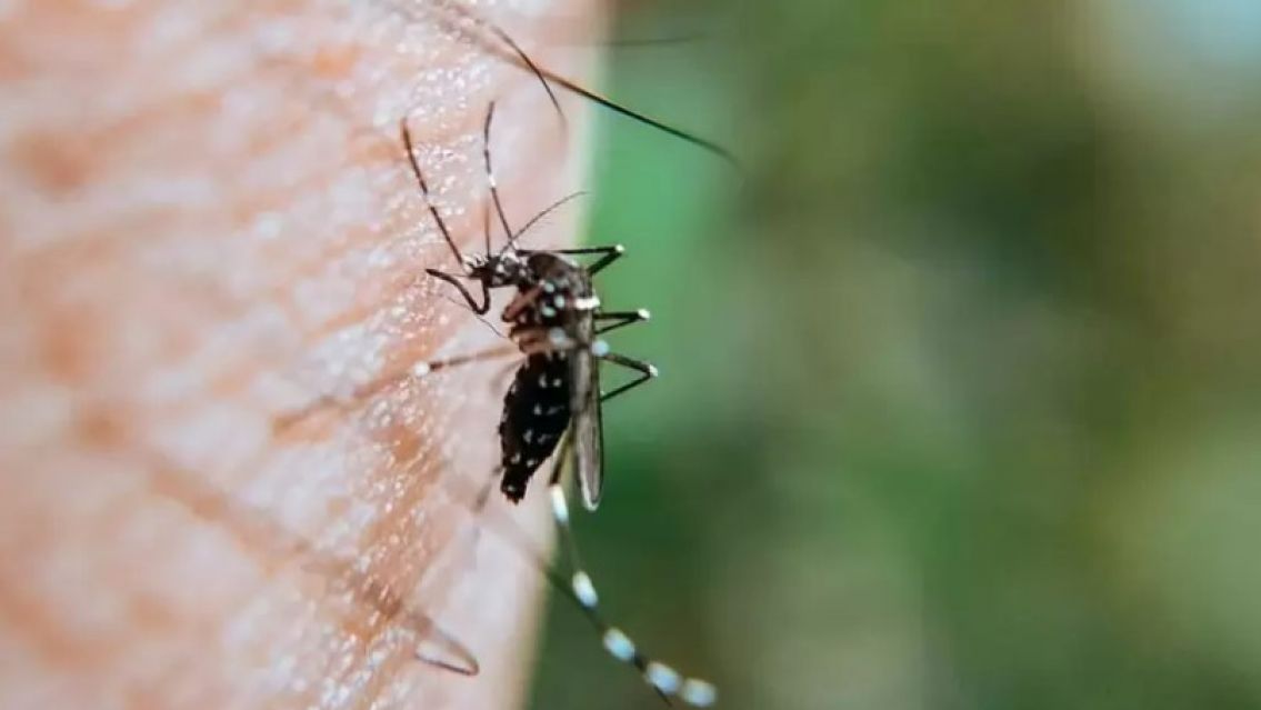San Salvador, El Carmen y Perico son las zonas con más casos en Jujuy
