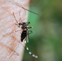 San Salvador, El Carmen y Perico son las zonas con más casos en Jujuy