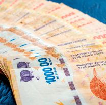 [ATENCIÓN] ANSES pagará un extra de $20.000: conocé quiénes podrán cobrarlo