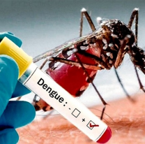 Le preguntaron a un astrólogo sobre el dengue en el país y lo que dijo es alarmante