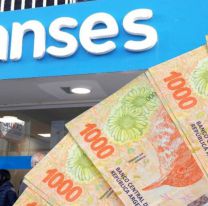 ANSES aumentar&aacute; un 500% la ayuda econ&oacute;mica: conoc&eacute; a qu&eacute; sector