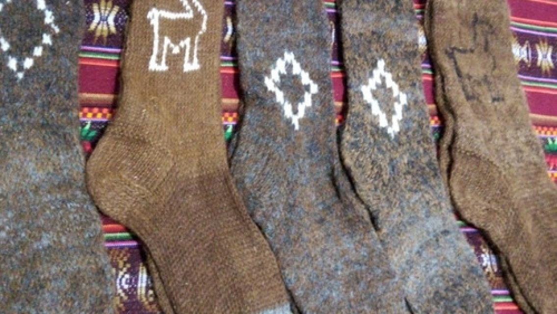 A preparar las medias de llama que se viene el frío a Jujuy. ¿Desde cuándo?