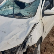 Jujeño atropelló a un caballo y terminó gravemente herido en el hospital