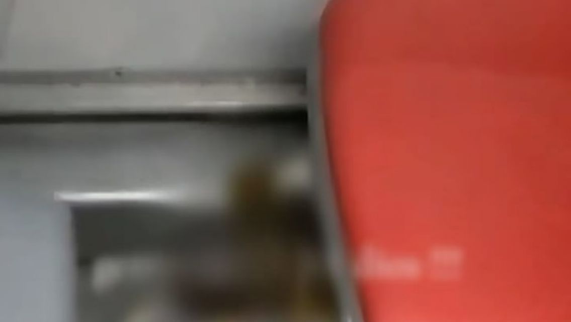 Un chofer sintió mal olor en el colectivo, revisó los asientos y descubrió algo repugnante