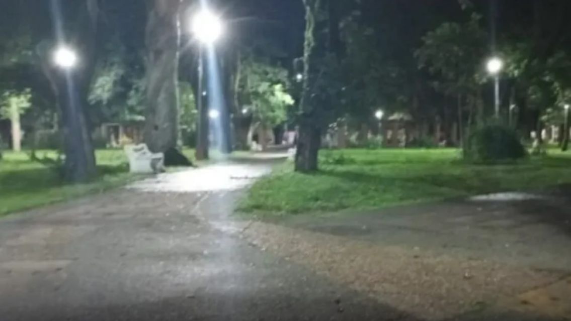 Hallaron un bebito abandonado en una plaza: "Estaba solito"