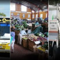 Así funcionarán los servicios municipales por el feriado del viernes