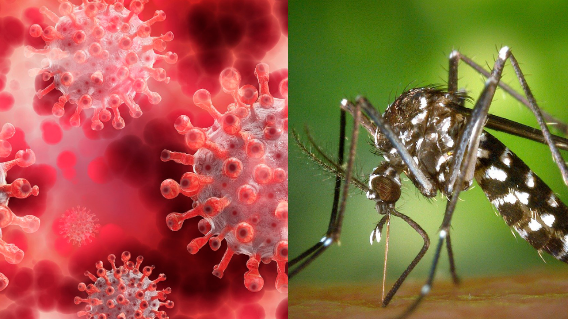 Jujeño tendría dengue y COVID en el hospital Gallardo de Palpalá