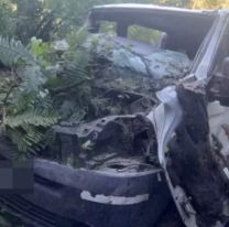 Turistas desbarrancaron y cayeron a 100 metros de altura en San Francisco