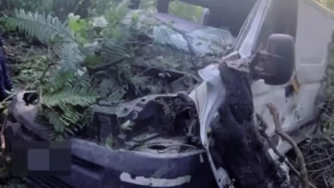 Trafic cayó por un precipicio en Jujuy: Había dos personas adentro