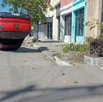 Norteño chocó contra un árbol, volcó su camioneta y sufrió lesiones
