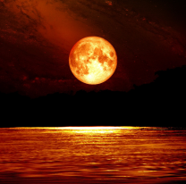 Llegó la luna llena en Escorpio, cómo impacta en cada signo. Tiempo de soltar...