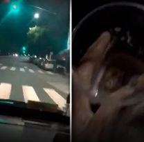 Borracha choc&oacute; contra un sal&oacute;n de fiestas: mat&oacute; a dos nenes de 8 y 5 a&ntilde;os