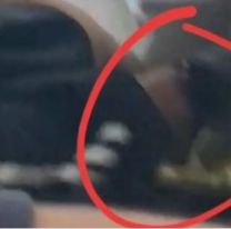 Un chico de 14 años llevó un arma a la escuela: "Voy a hacer una masacre"