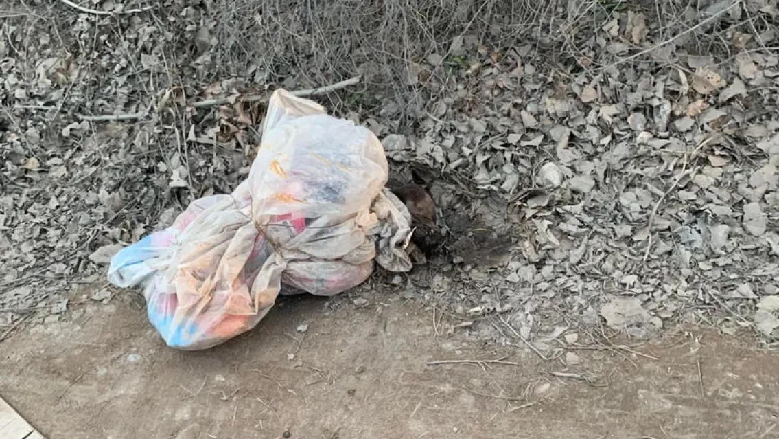 Horror descomunal, abandonaron a un bebé y un auto le aplastó la cabeza