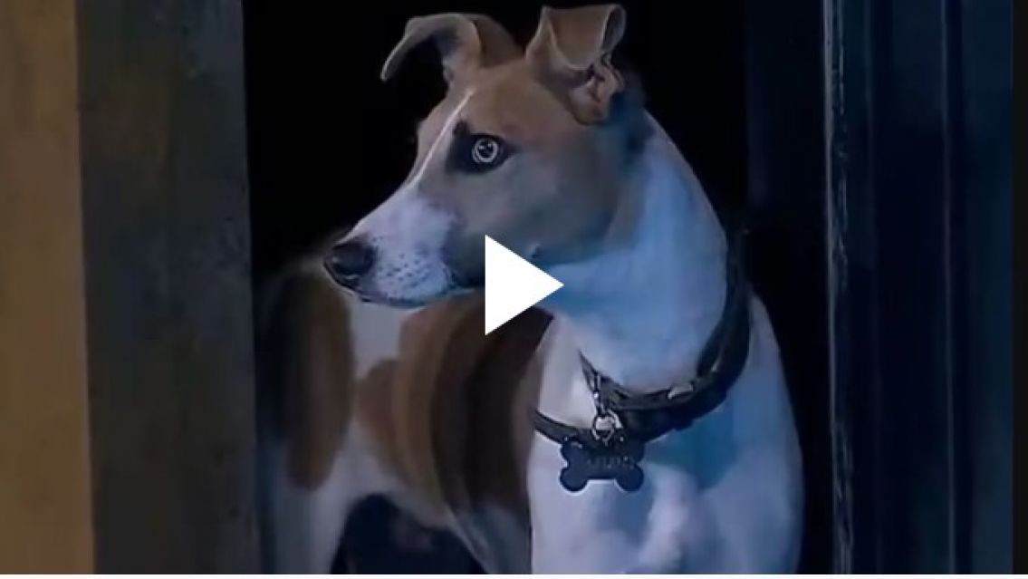 Arturo sigue agresivo y hay preocupacion en Gran Hermano: Ya le tienen miedo