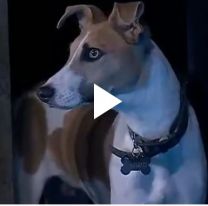 Arturo sigue agresivo y hay preocupacion en Gran Hermano: Ya le tienen miedo