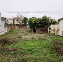 Así estafan con supuestos alquileres pero son terrenos baldíos, a tener ojo