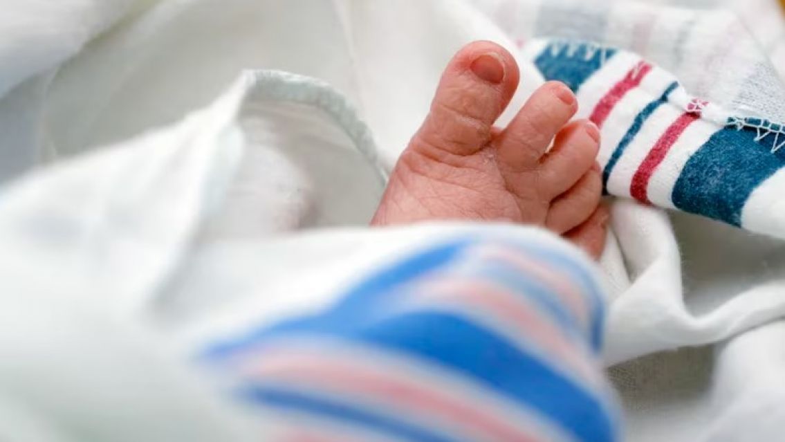 Internaron a dos bebas con varias fracturas y moretones: Arrestaron a los padres