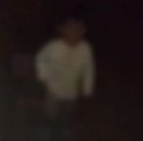 Encontraron a un bebé solo en la frontera: La insólita excusa de los padres