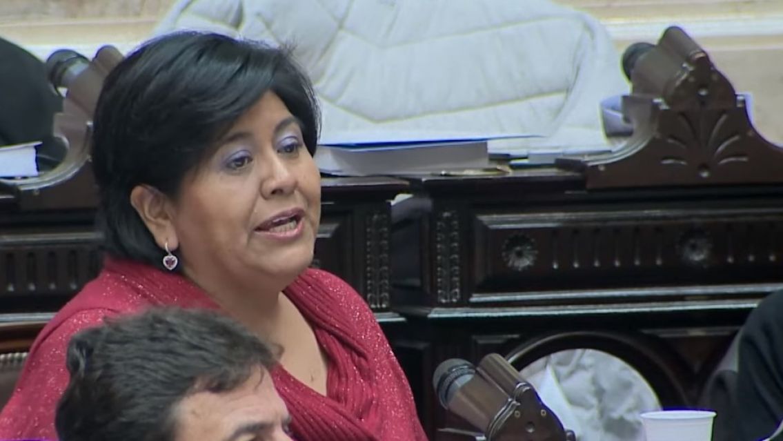 Ley Bases: Qu� fue lo que dijo la juje�a Sarapura en el Congreso 