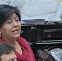 Ley Bases: Qué fue lo que dijo la jujeña Sarapura en el Congreso