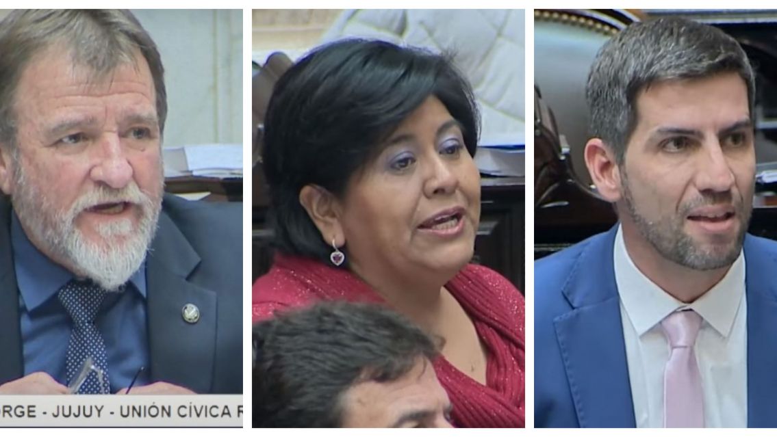 Ley Bases: Quintar, Sarapura y Rizotti dieron su apoyo para la aprobaci�n 