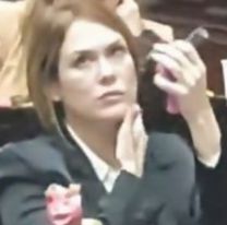 Grabaron a Lemoine maquill&aacute;ndose en medio de la sesi&oacute;n de Diputados y ella se defendi&oacute;