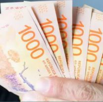 ANSES paga un extra de $108 mil en junio: ¿Quiénes lo cobrarán?